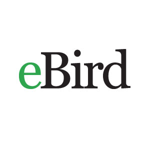 ebird_logo