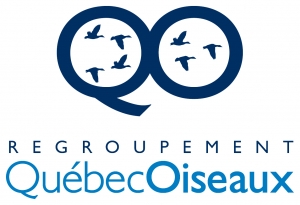 Logo du Regroupement QuébecOiseaux